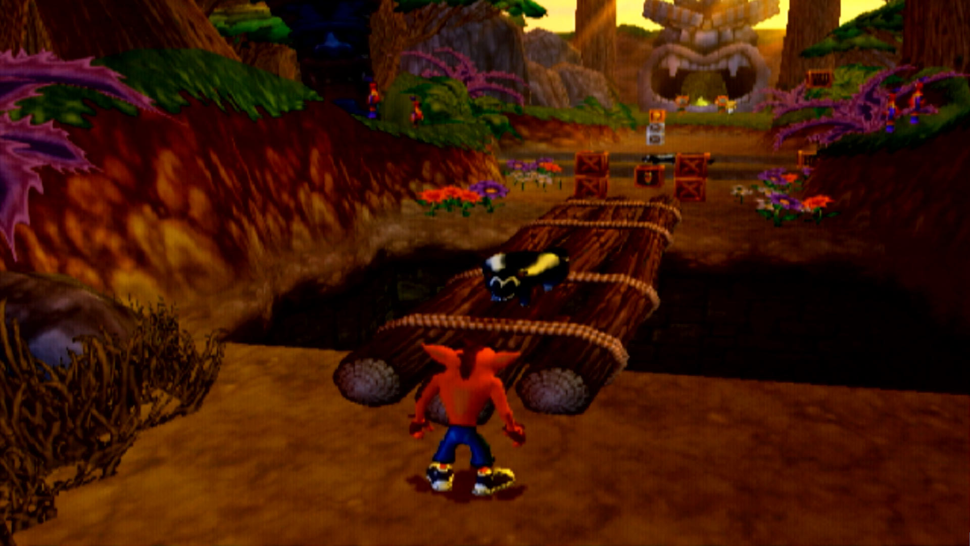 Crash Twinsanity PS2 skunk