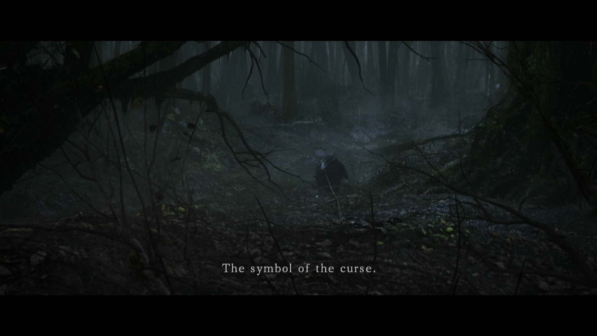 Dark Souls II PS3 cutscene storyline dark forest