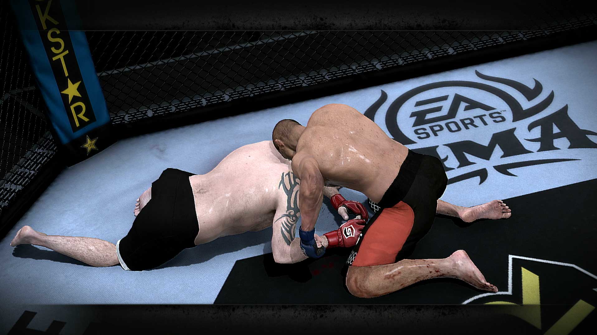 EA Sports MMA PS3 replay hold fighting